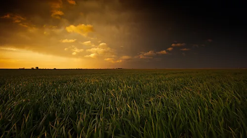 field-sunset-campagne-coucher-de-soleil