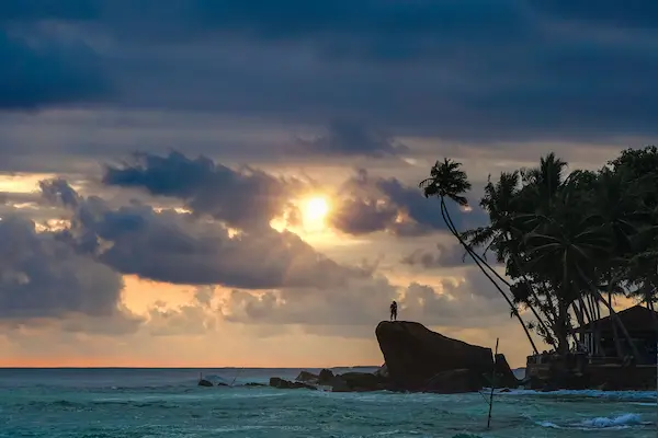 sunset-palmier-sea-mer-ocean-palmier