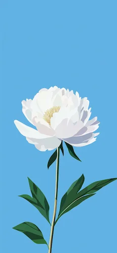 Fleur-Flower-Blanche-White-FondBleu-BlueBackground-Minimalist