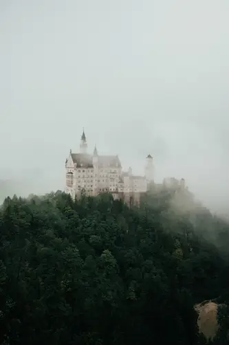 castle-fog-trees-chateau-brume-arbres